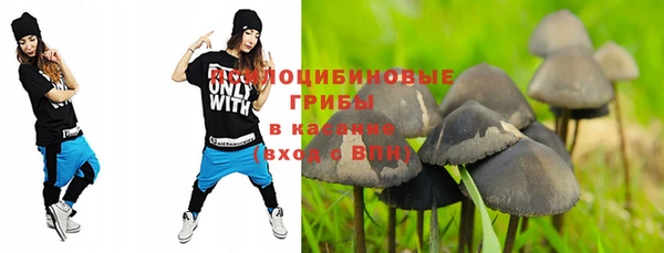 первитин Белоозёрский