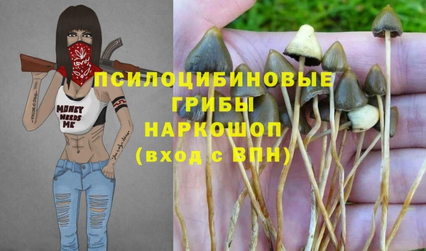 первитин Белоозёрский